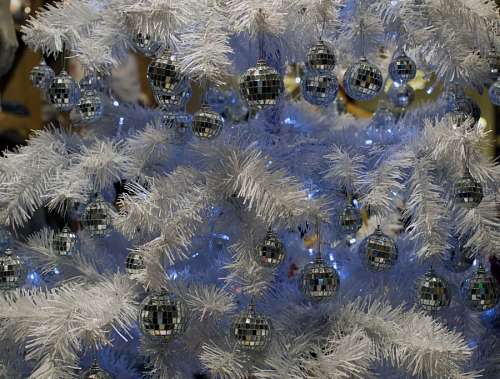 festejo Naviadad
