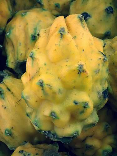 frutas tropicales Pitahaya