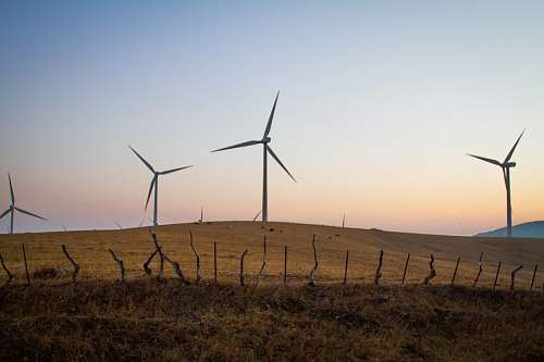 ecologia Molinos de Viento