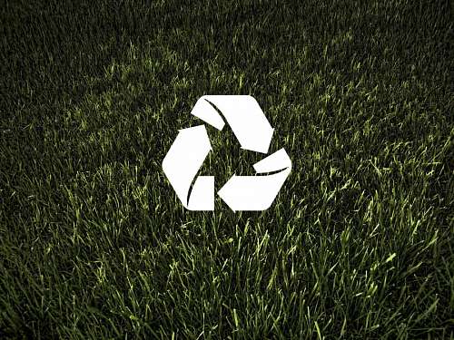 ecologia Ecología y medio ambiente