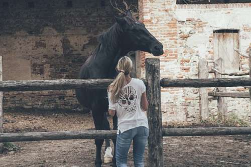joven caballero Mujer y caballo
