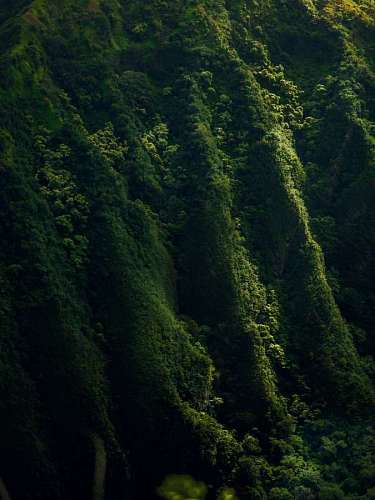 cordillera Paisaje de Montañas cubiertas de vegetacion en Hawai