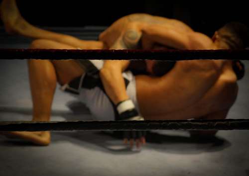 fuerza Lucha