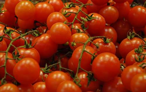racimo Tomates