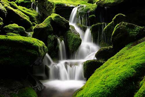 cascada Cascada con musgo verde 