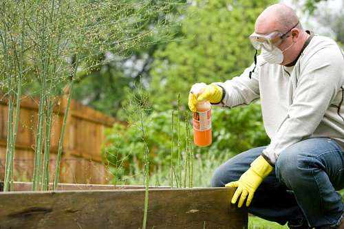 tecnico hombre rociando pesticidas a una planta
