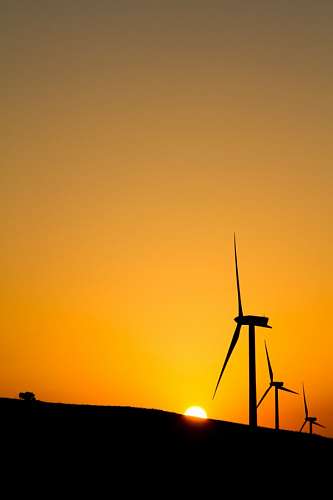 ecologia Molinos de Viento