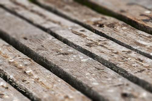 Textura madera
