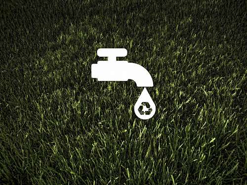 ecologia Ecología y medio ambiente