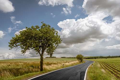 asfalto Carretera de campo