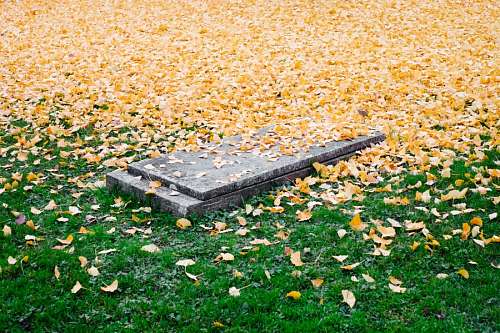 grave Cementerio