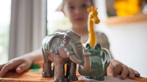 Niño con animales de juguete en su casa