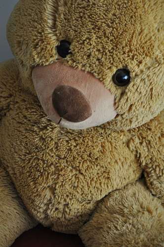juguete de peluche Oso de Peluche
