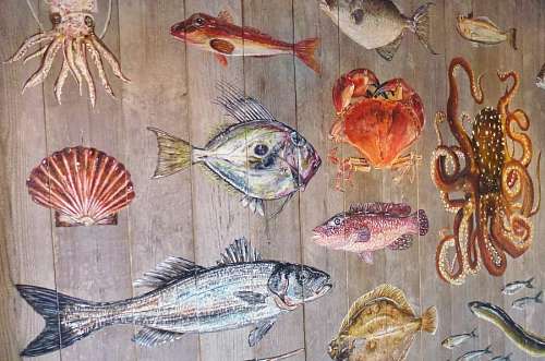 peces 