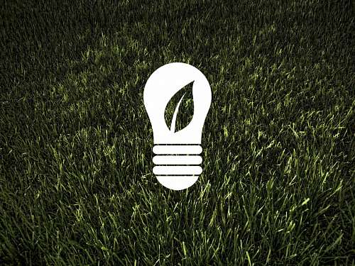 ecologia Ecología y medio ambiente