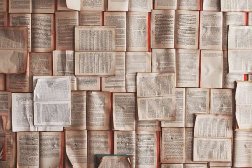 conocimiento Libros 