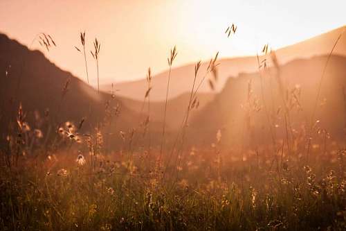 Paisaje silvestre al atardecer con rayos de sol en un valle