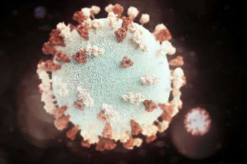 virus, viral, medicina, infección, médica, enfermedad, biología, microbiología, ilustración, microbio, resumen, moléculas, salud, fondo, ciencia