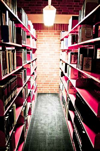 biblia Biblioteca