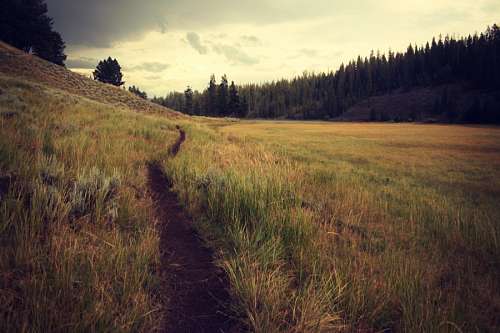 trail 