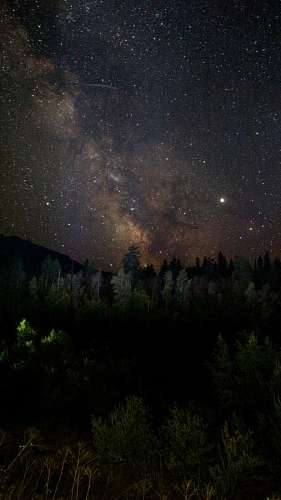 planeta tierra Paisaje de la vía láctea sobre un bosque de pinos