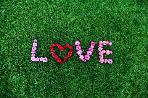 gay Cesped con decorado en flores