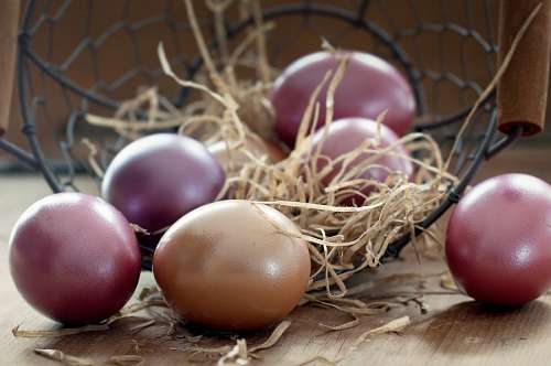 huevo huevos de pascua