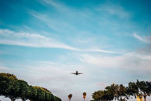 Avion