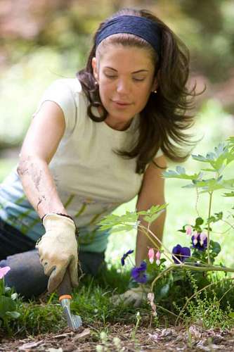 mujer plantando flores en su jardín