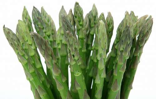 esparragos Esparrago