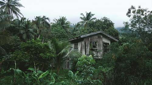abandonado 