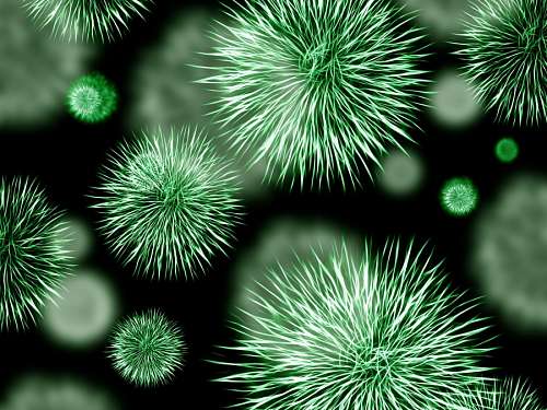 enfermedad Bacteria