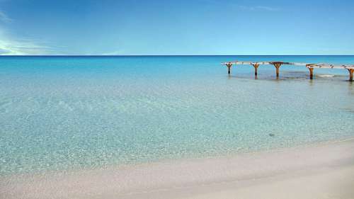 caribe Caribe            