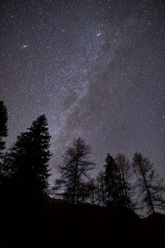 via lactea Paisaje nocturno de bosque con la via lactea de fondo