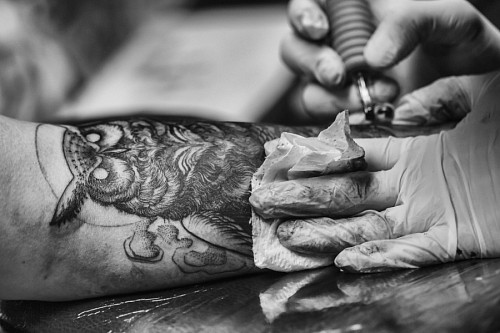 cliente Artista tatuando una lechuza 
