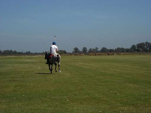 estancia Jugando al Polo