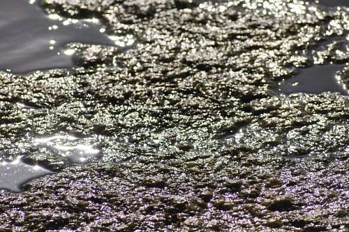 Reflejo Agua