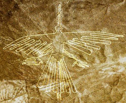 nasa Nazca, Nasca