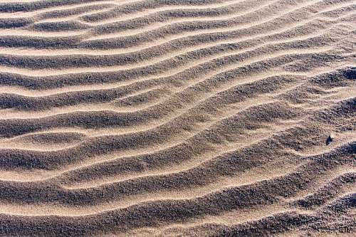 ondas que forma el viento en la arena de la playa