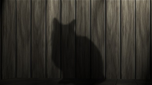 Sombra felina 