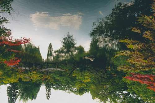 tumba Paisaje Japon