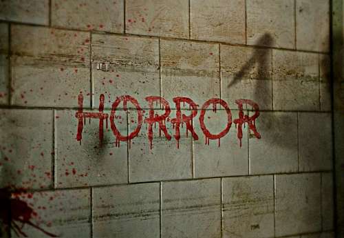 terror Terror