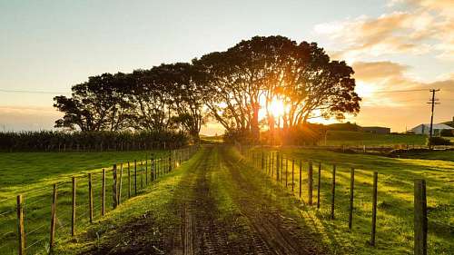Calle de tierra en el campo al atardecer 