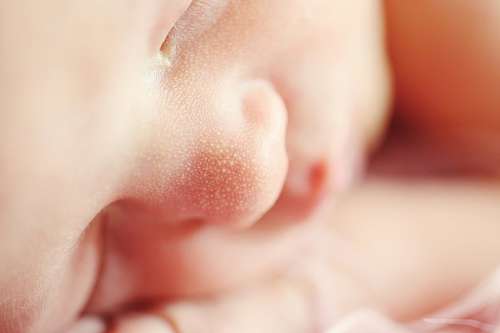 ternura Bebe 