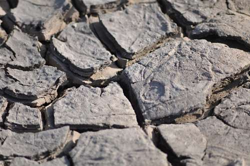 arido Tierra Seca