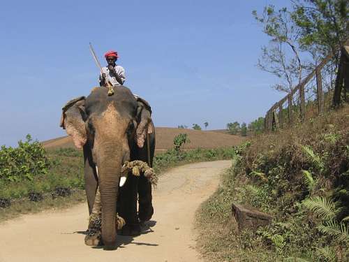 camino rural India
