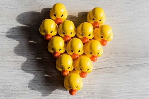 patito  Patitos