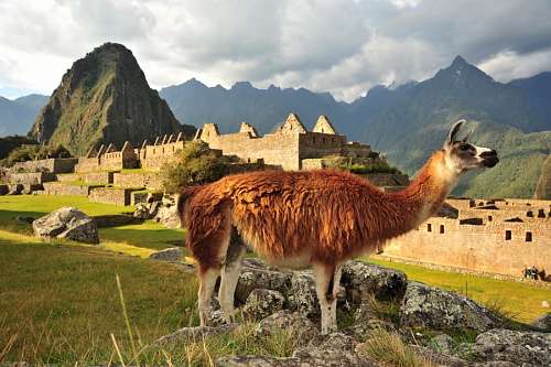 Machu Picchu, Peru