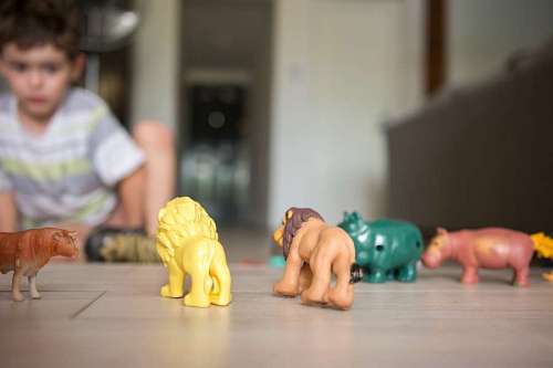 Niño jugando con animales de juguete 