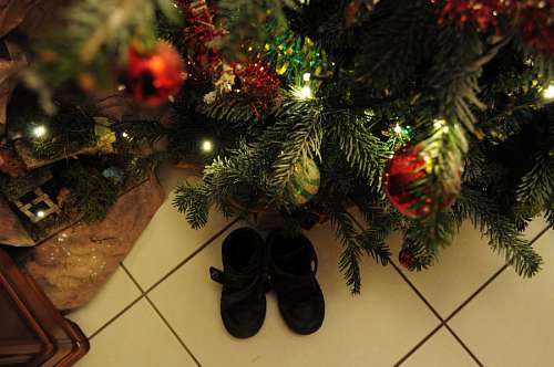bulbo bola, bolas, bombilla, navidad, decoracion, platea